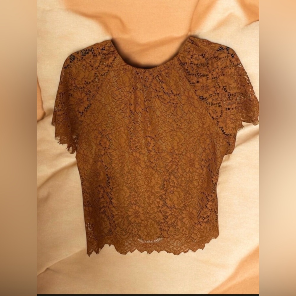 J.Crew Lace Women Top in Brown